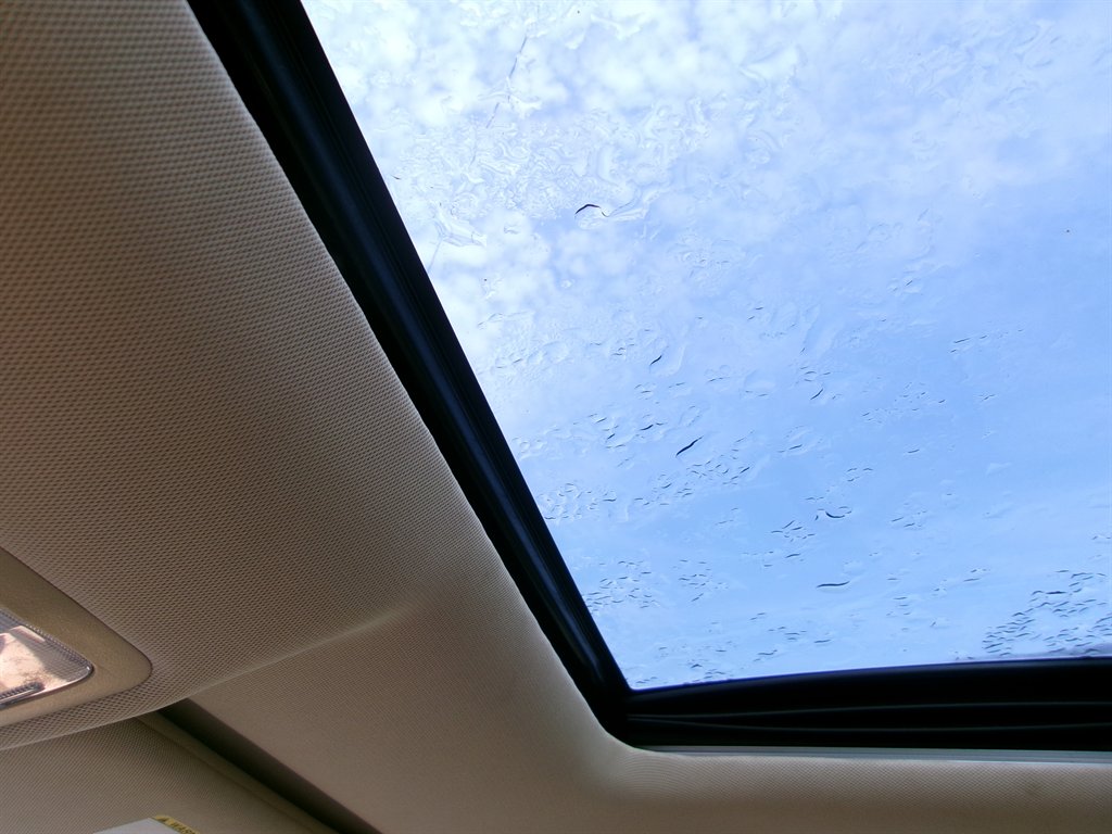 View 31